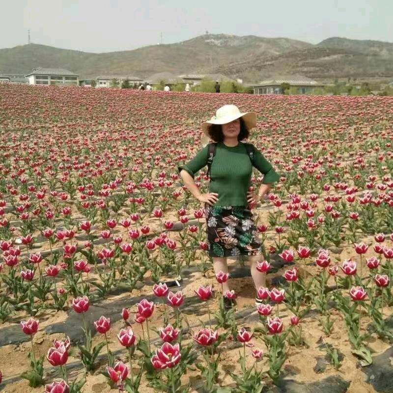 与爱共舞