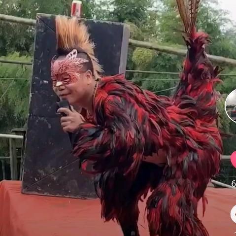 公鸡哥(🔥🔥🔥)