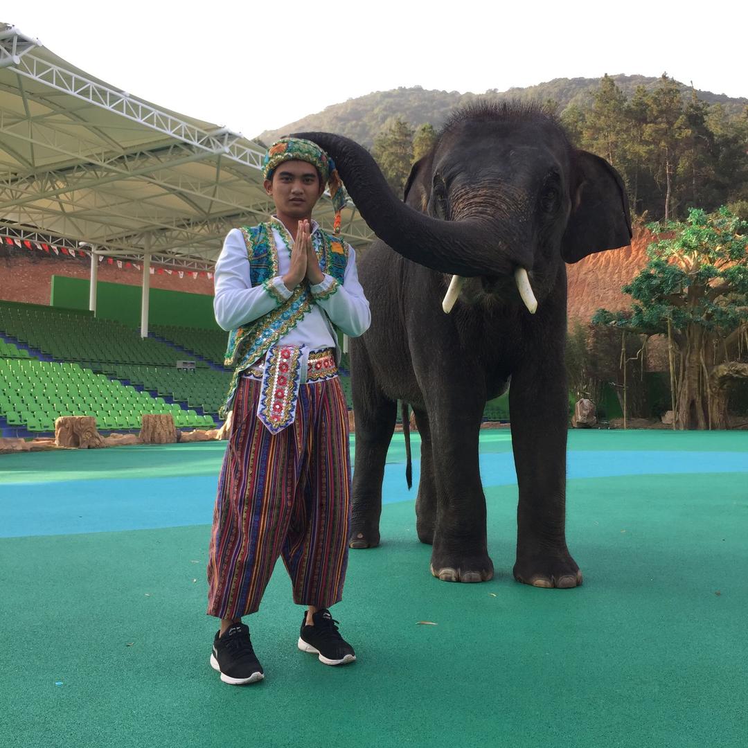 小象的跟班🐘
