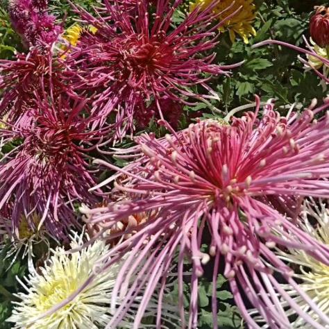 开❤️心❤️就❤️好❤️