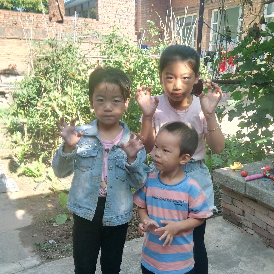 灵芝63年兔🐇