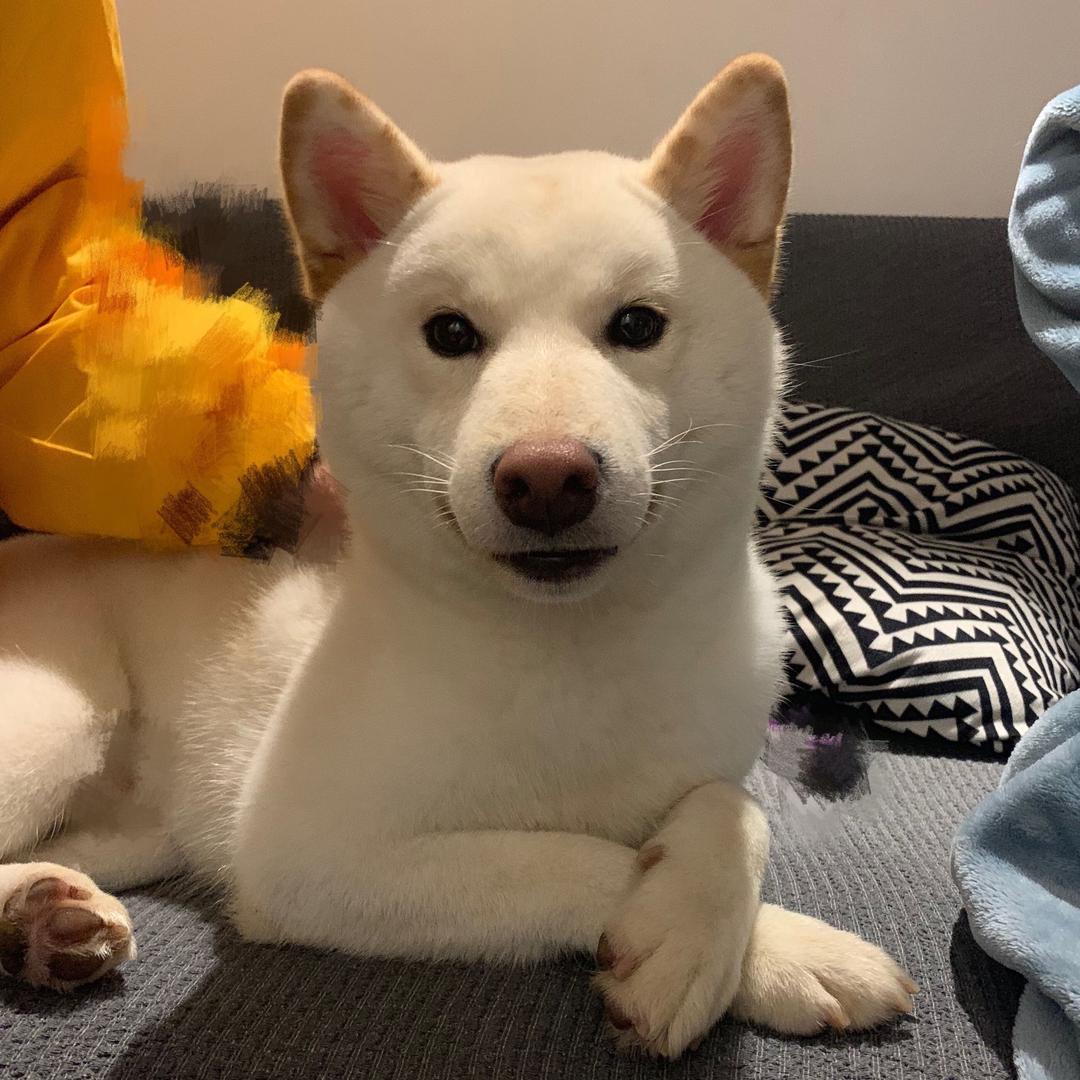 你的陈比方@抖音