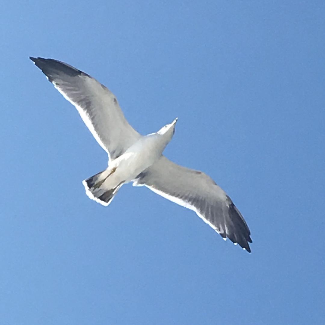 💌🌈海阔天空