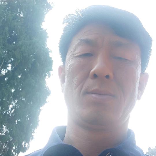 七里香柑橘假植苗杯苗批发