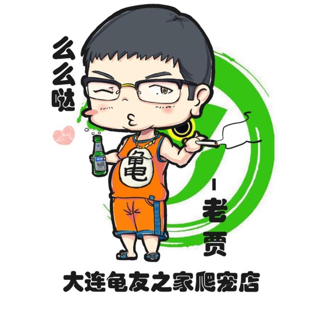 大连龟宠之家6号