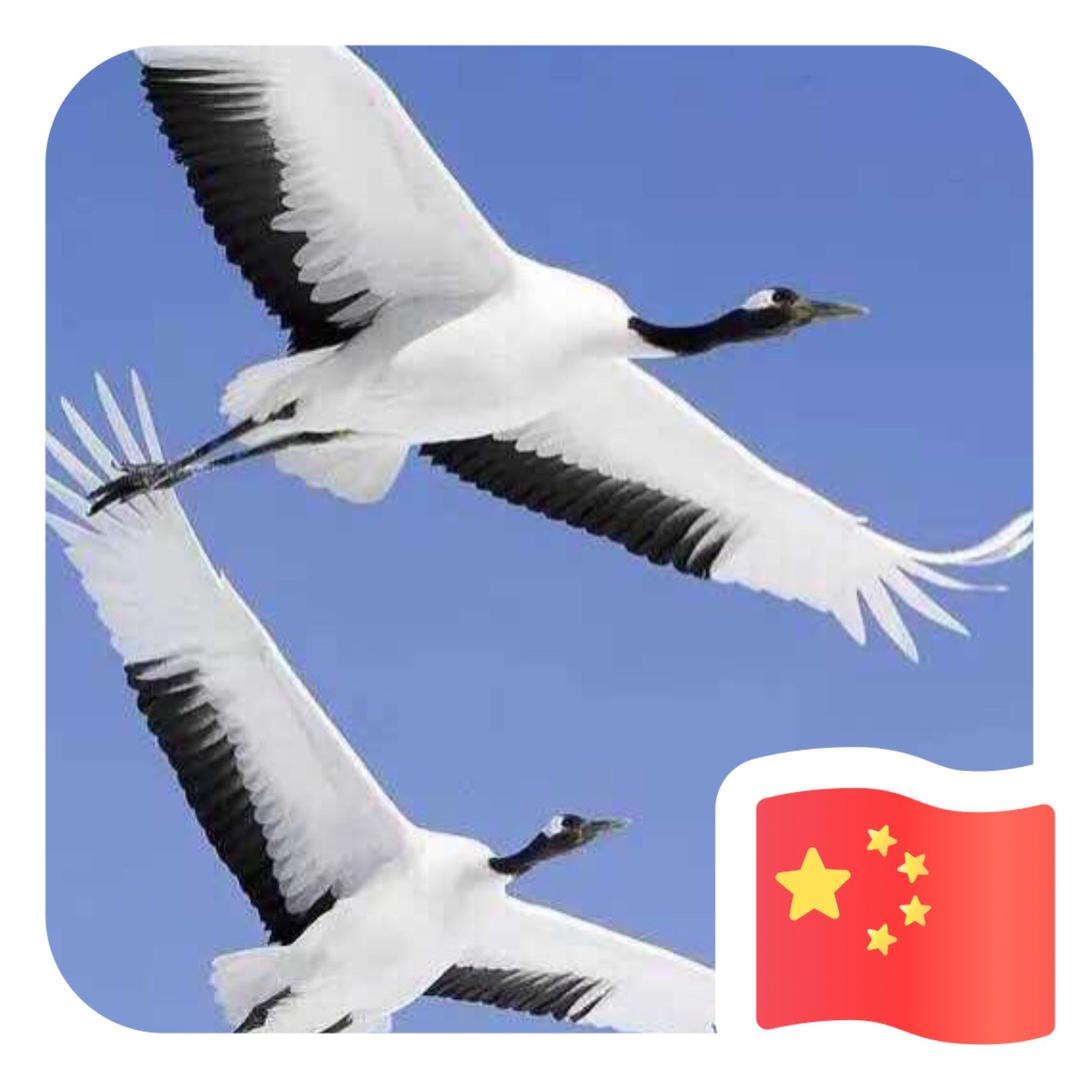 ATY地久天长cium