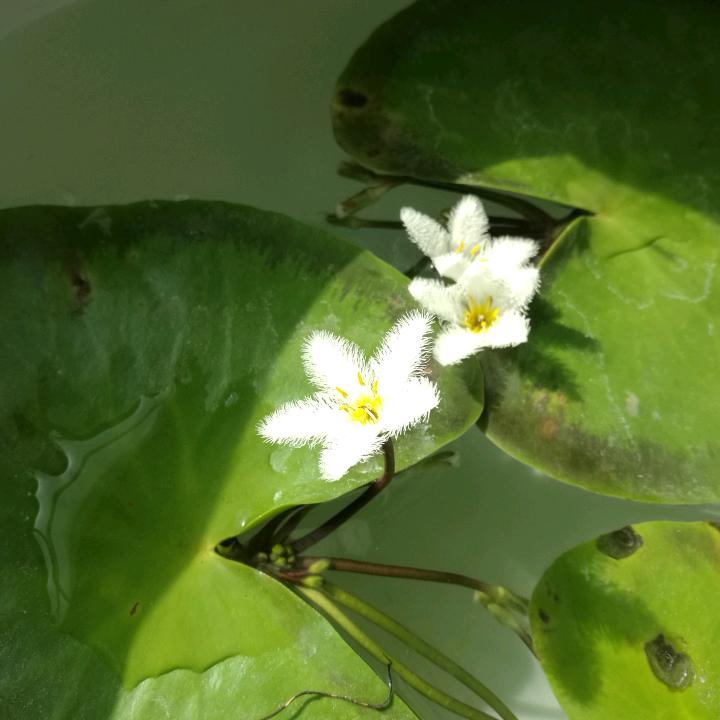 杨金辉