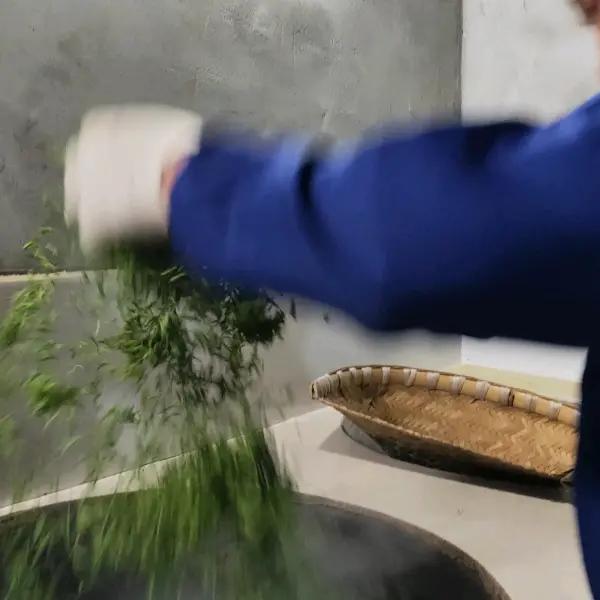 蒙顶山手工茶守护者