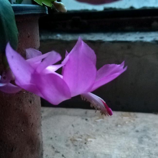 秋天的细雨