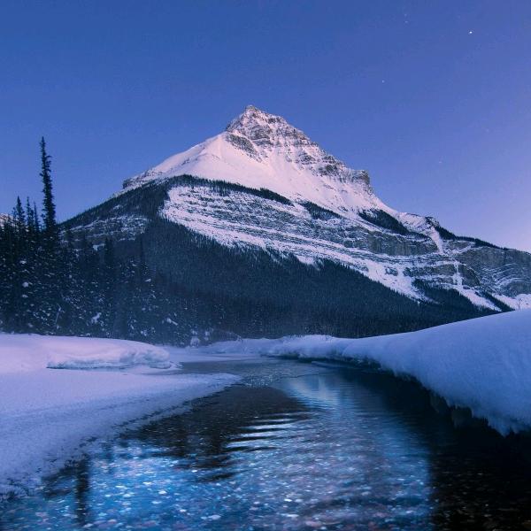 有你真好（三角洲行动）