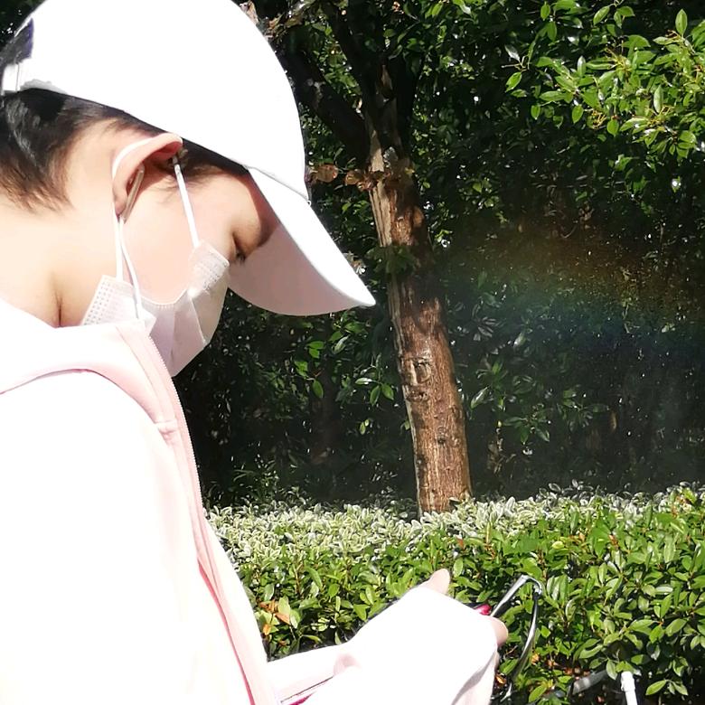打不死的小强