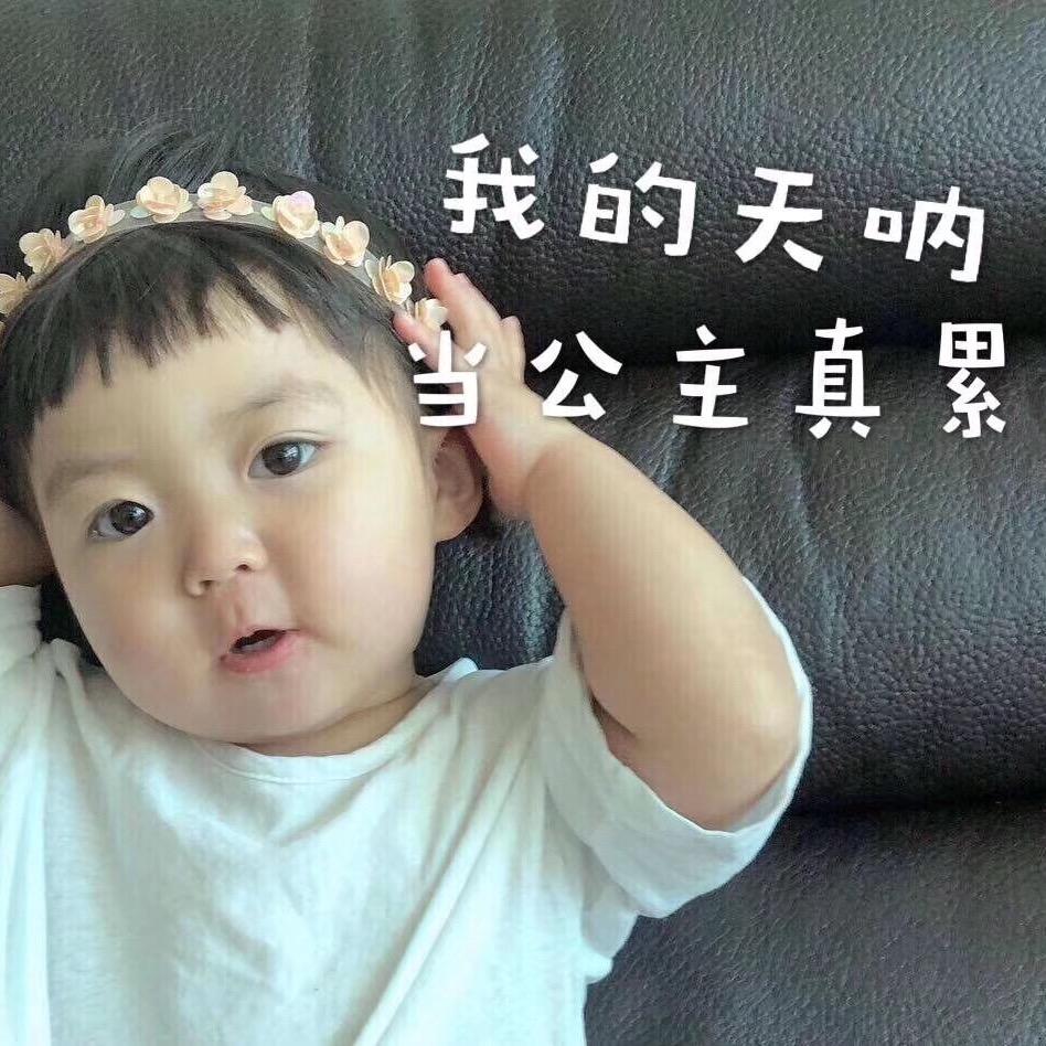 本宫&娇娇