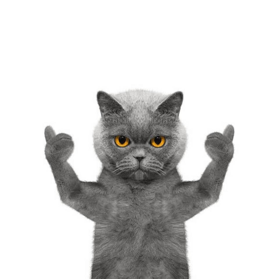 烟花易冷泪水易碎