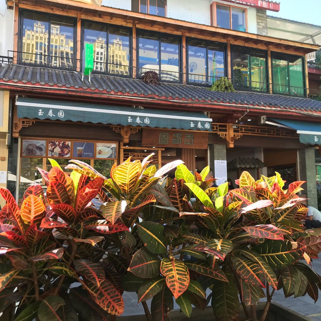 开心玉米排骨汤