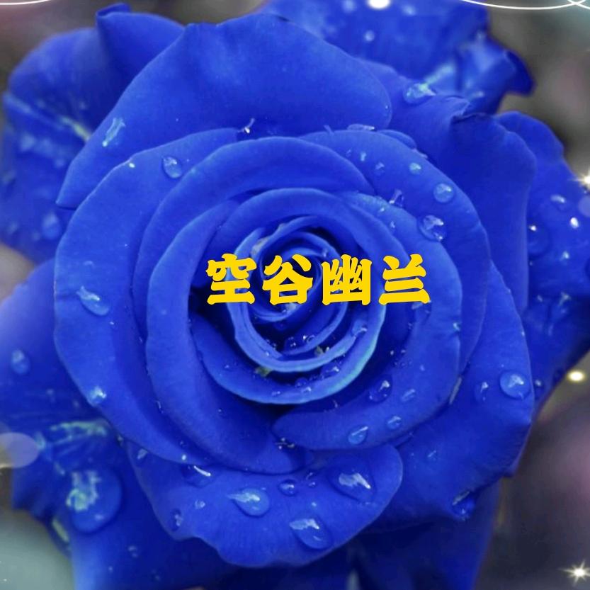 空谷幽蘭