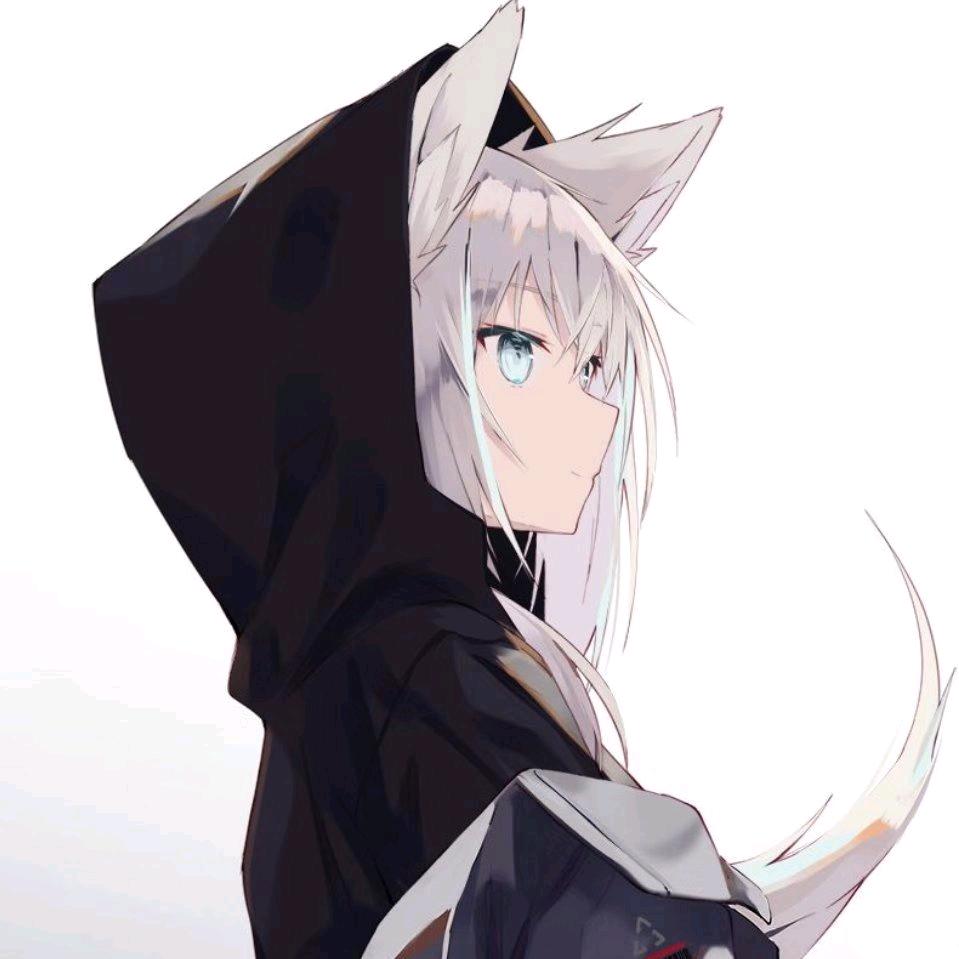 核平鸽