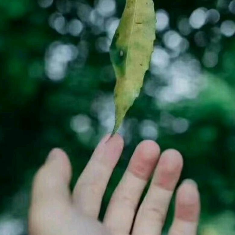 幸福的生活