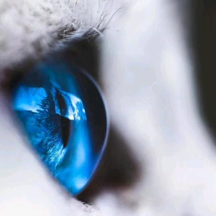 广东金道食品，手工云吞工厂