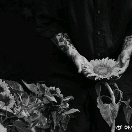WanW