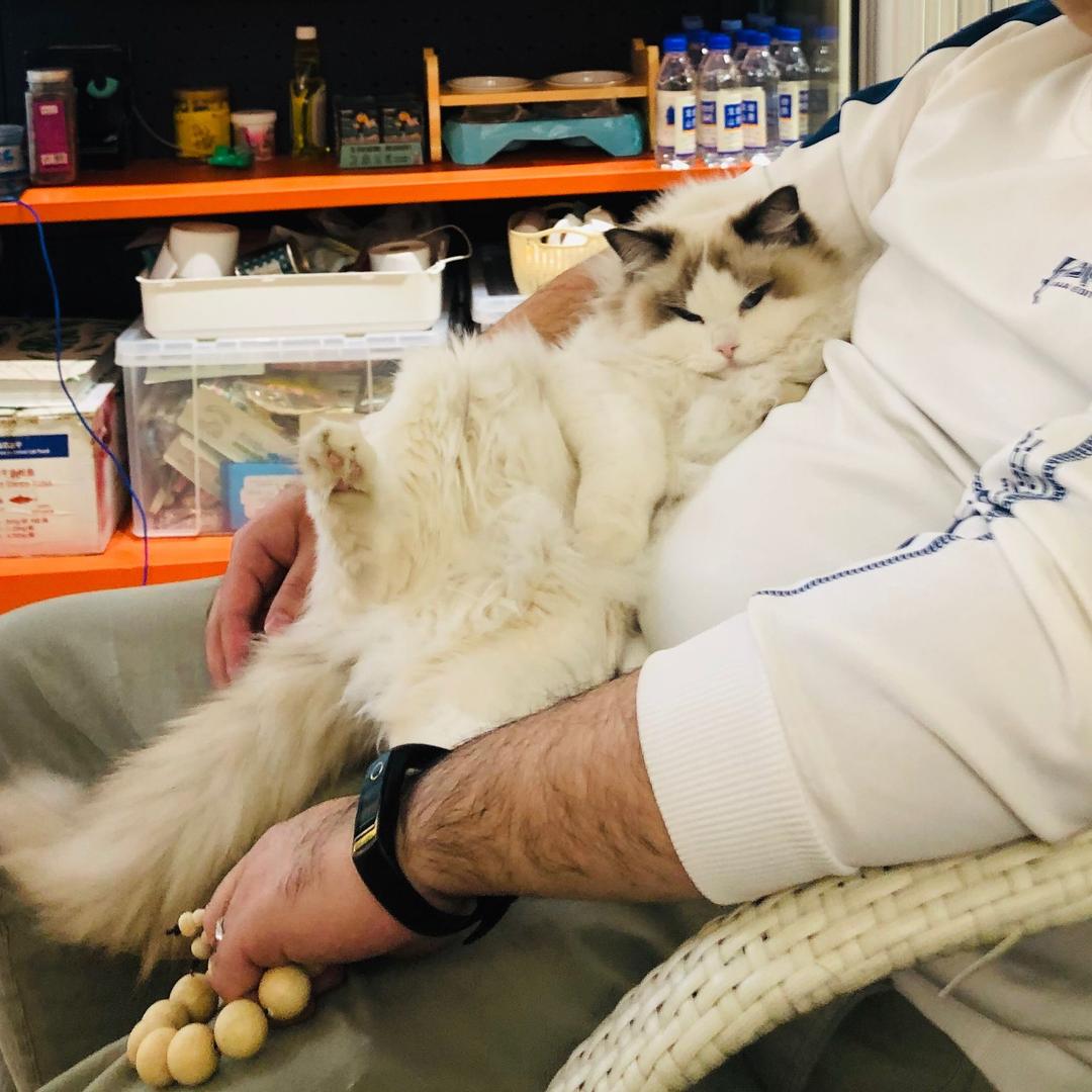 喵之屋猫咪一站式生活馆