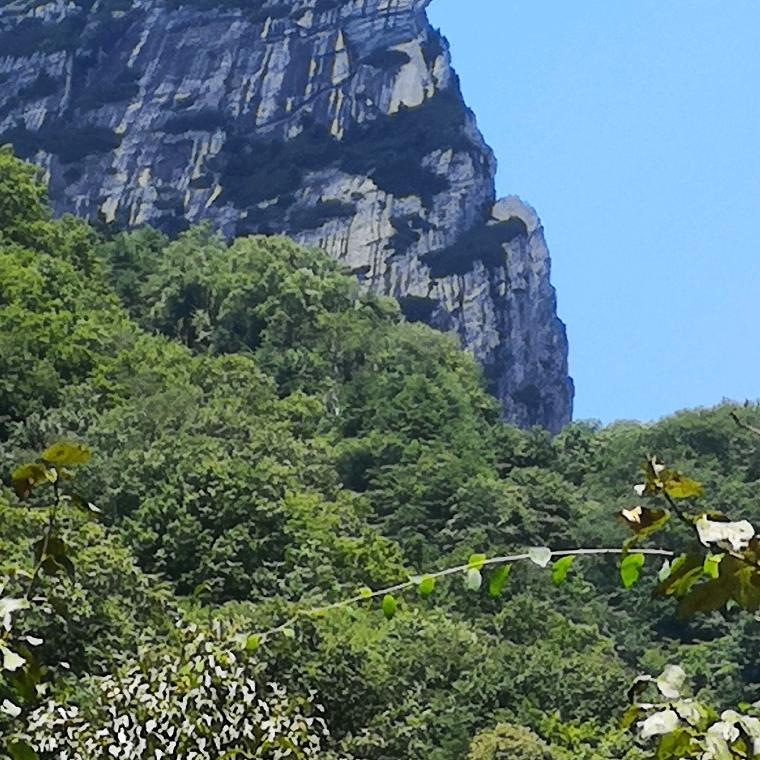 丨石佛松山李军