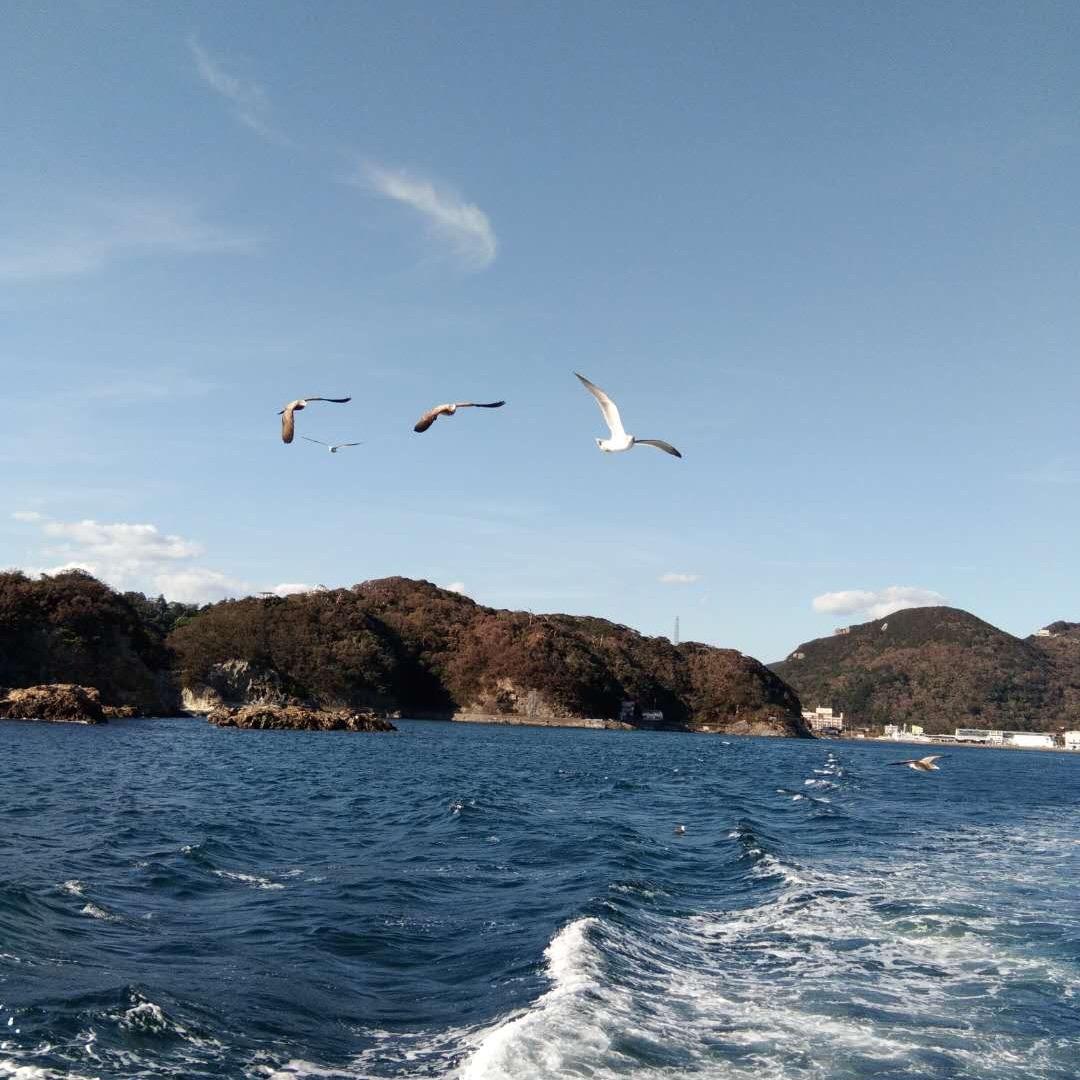 海阔天空（好物推荐)
