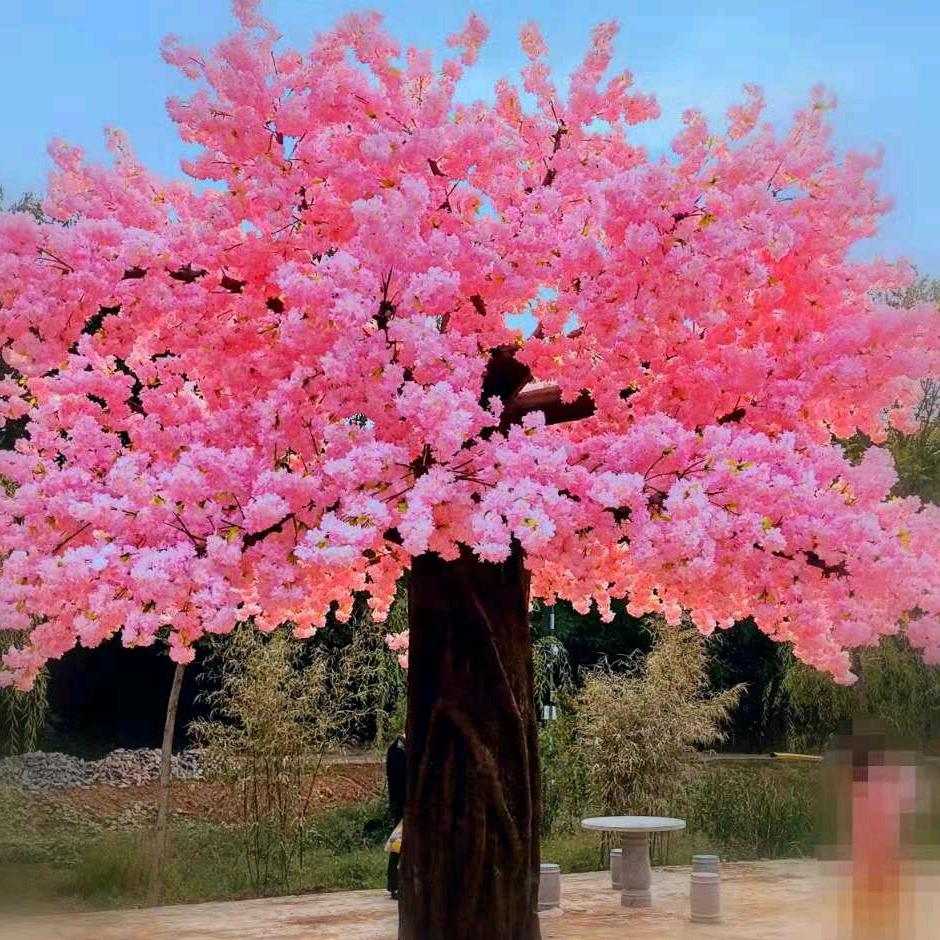 无所谓（拒聊）