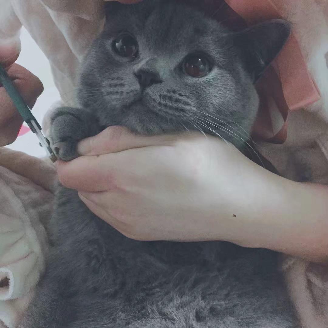 许则乖崽