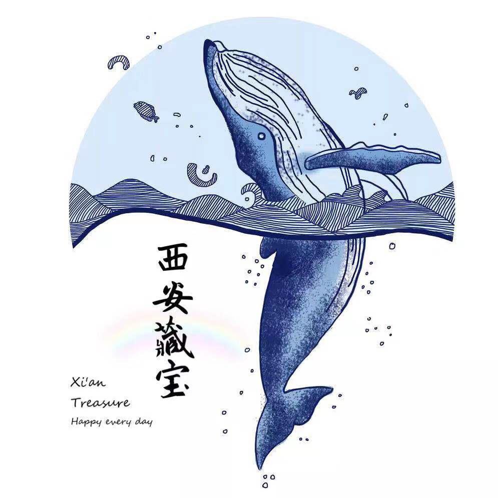 西安藏宝🐳