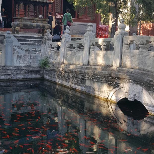 刘玉珍