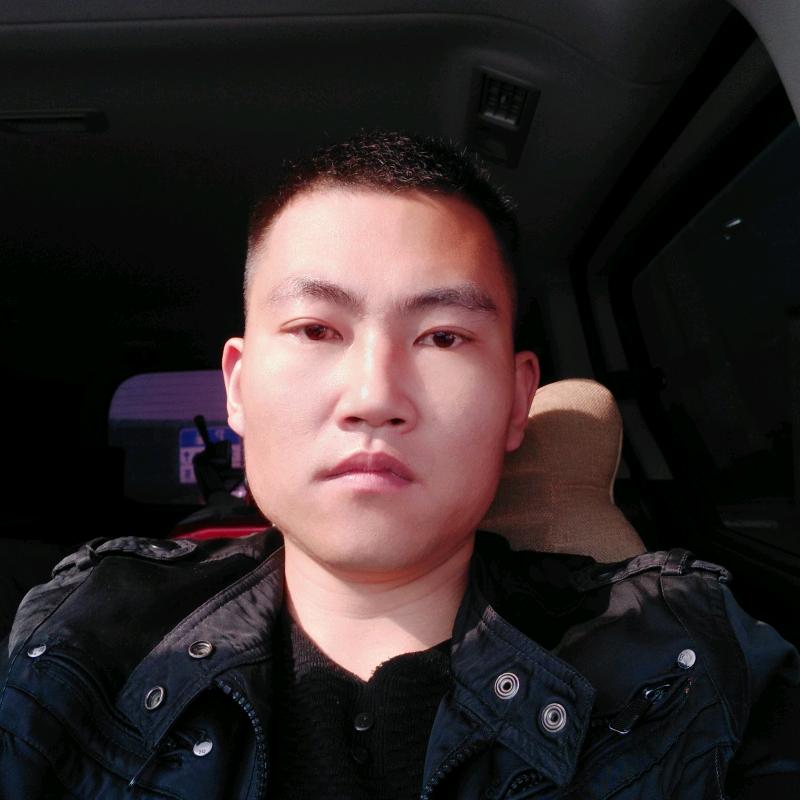 龙