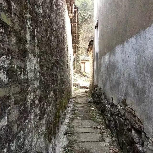 水是睡醒的冰