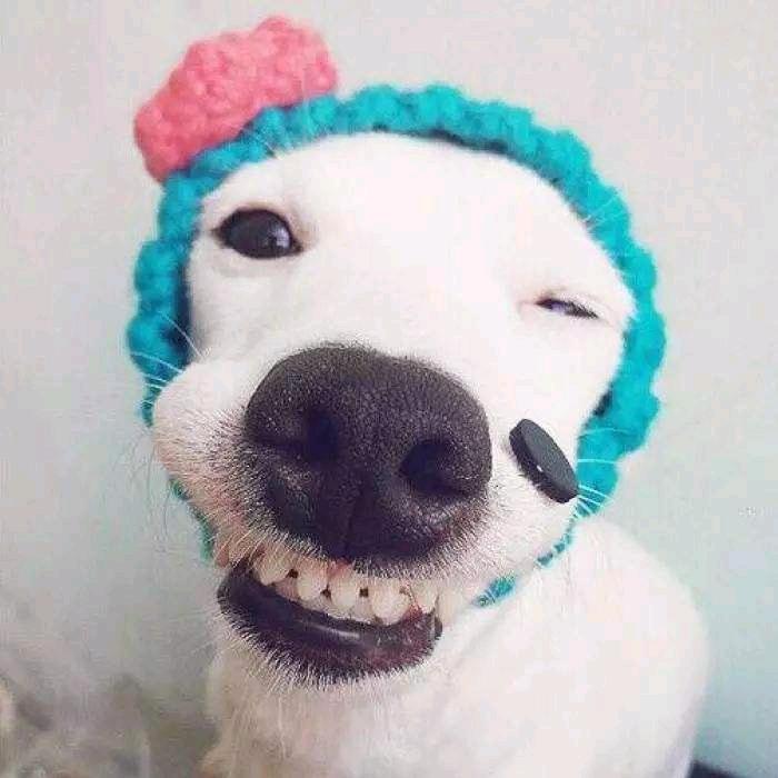 做一个有钱人
