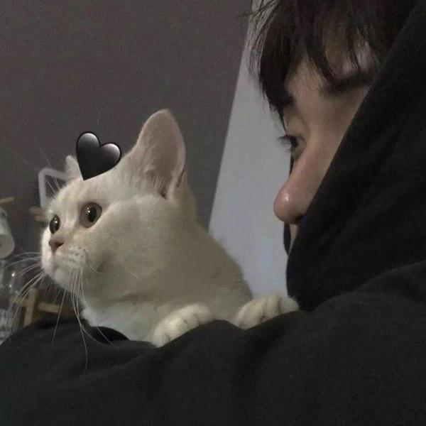 無⃰畏⃰山⃰海⃰