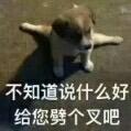 小杨同学