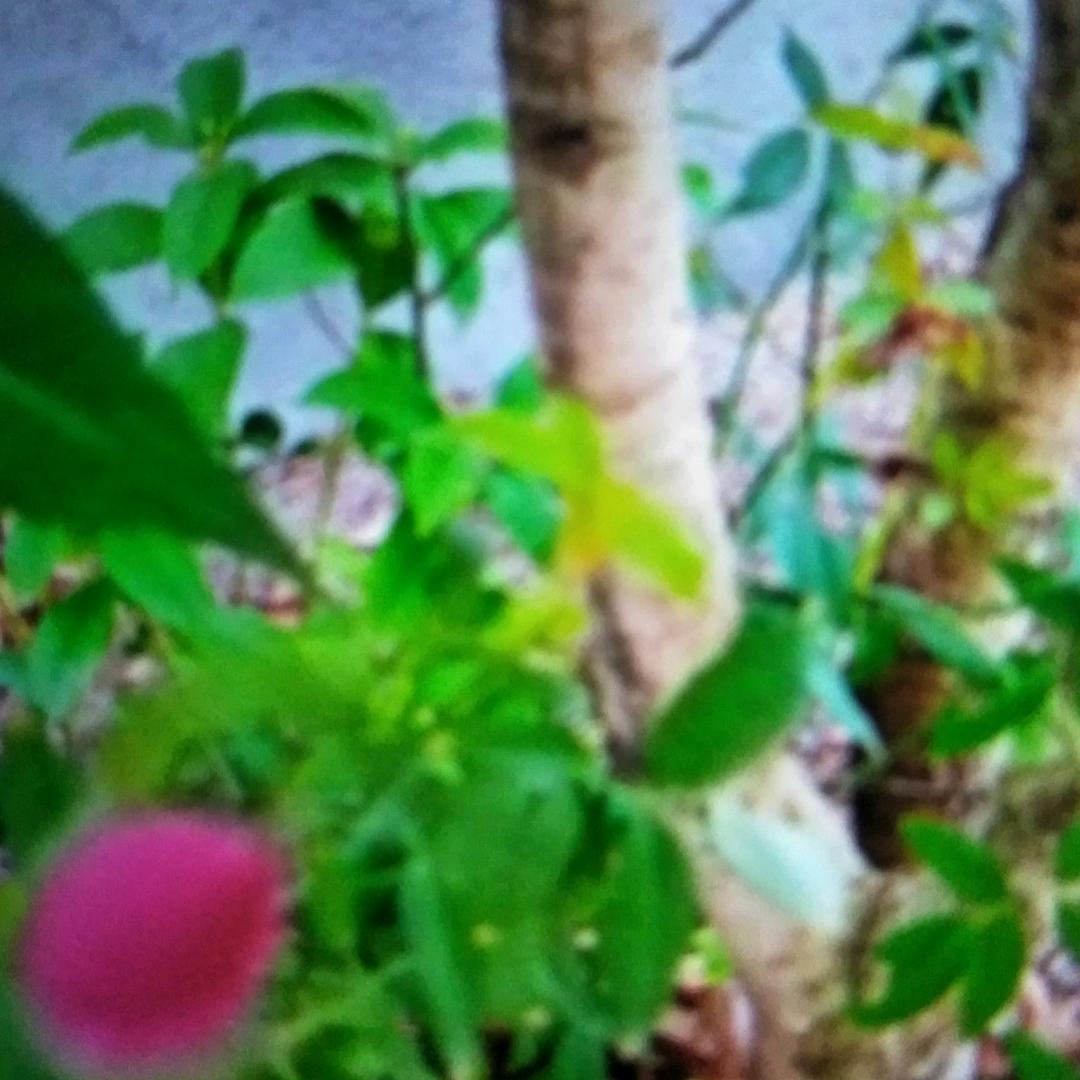 a好好爱自己