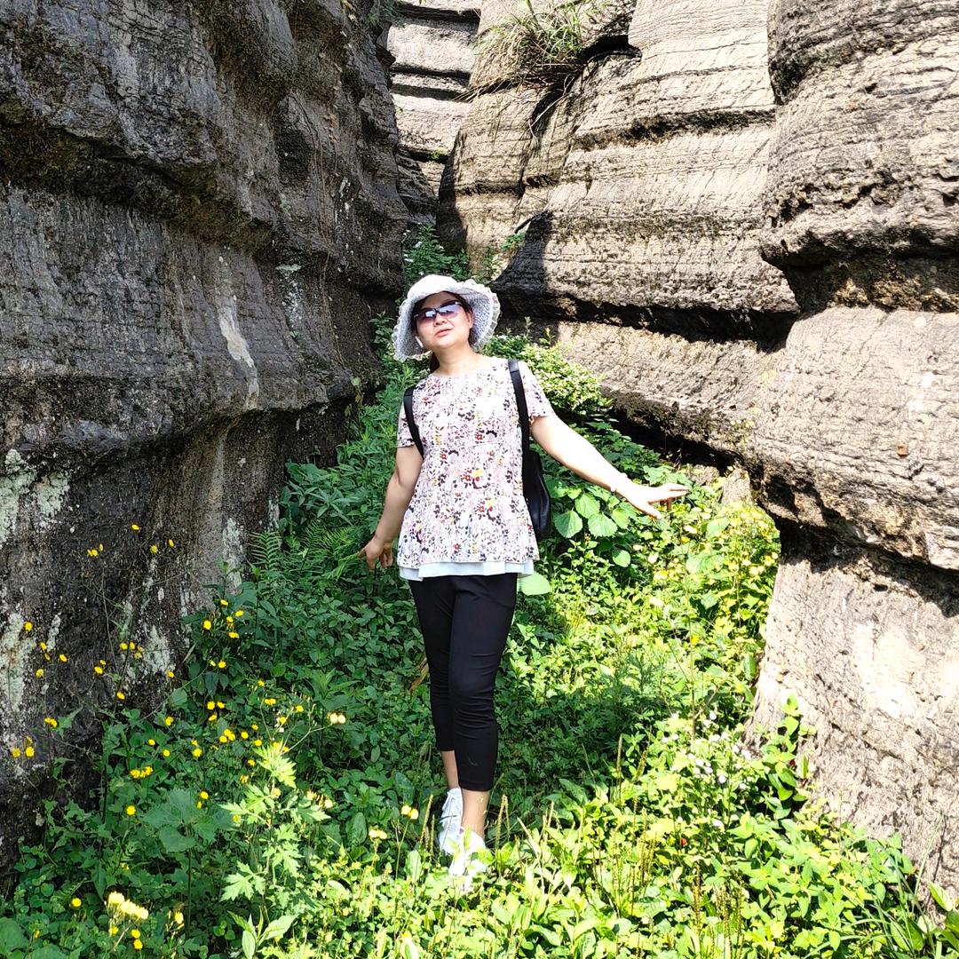 小燕子