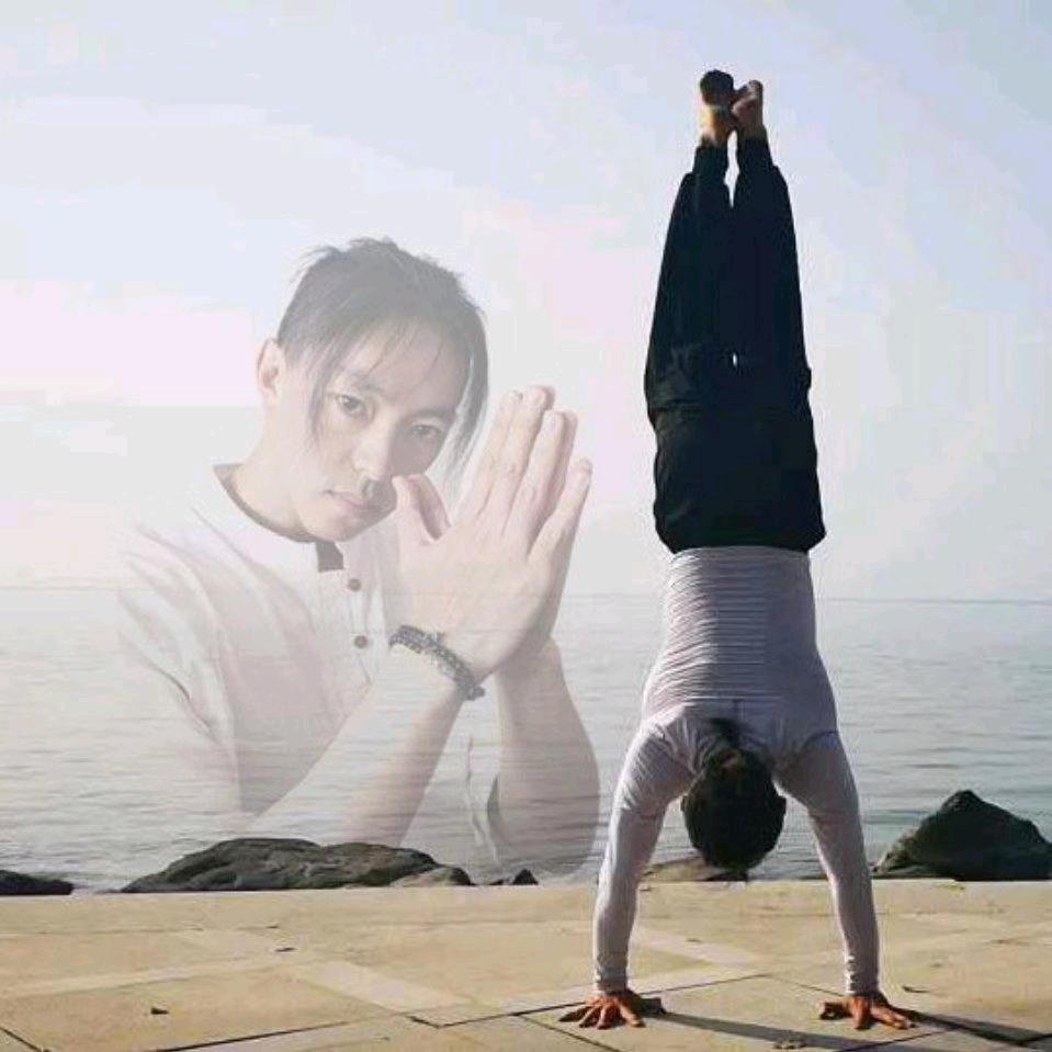 林yoga瑜伽冥想