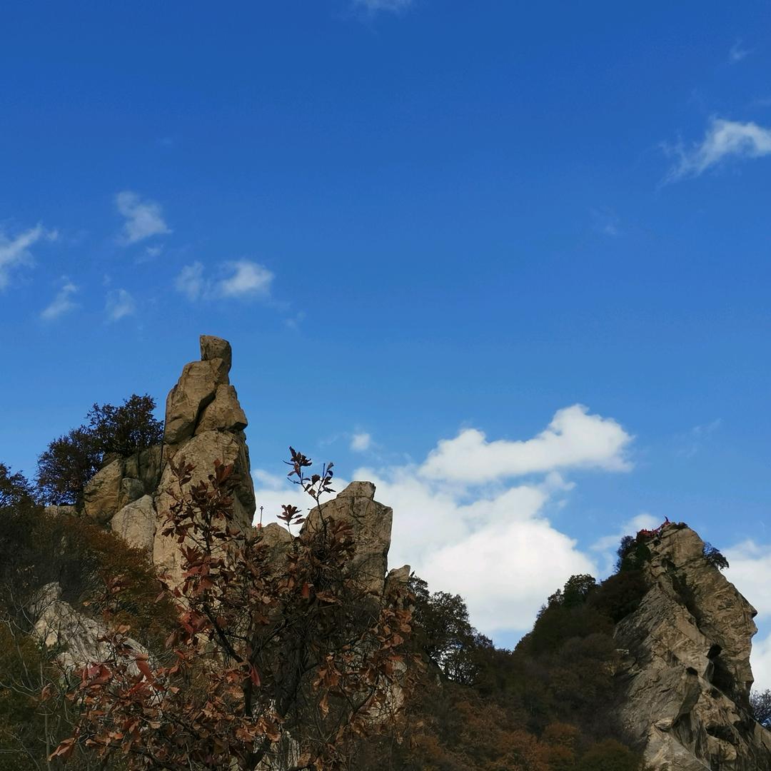 高山大海