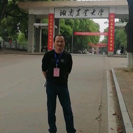 笨丹