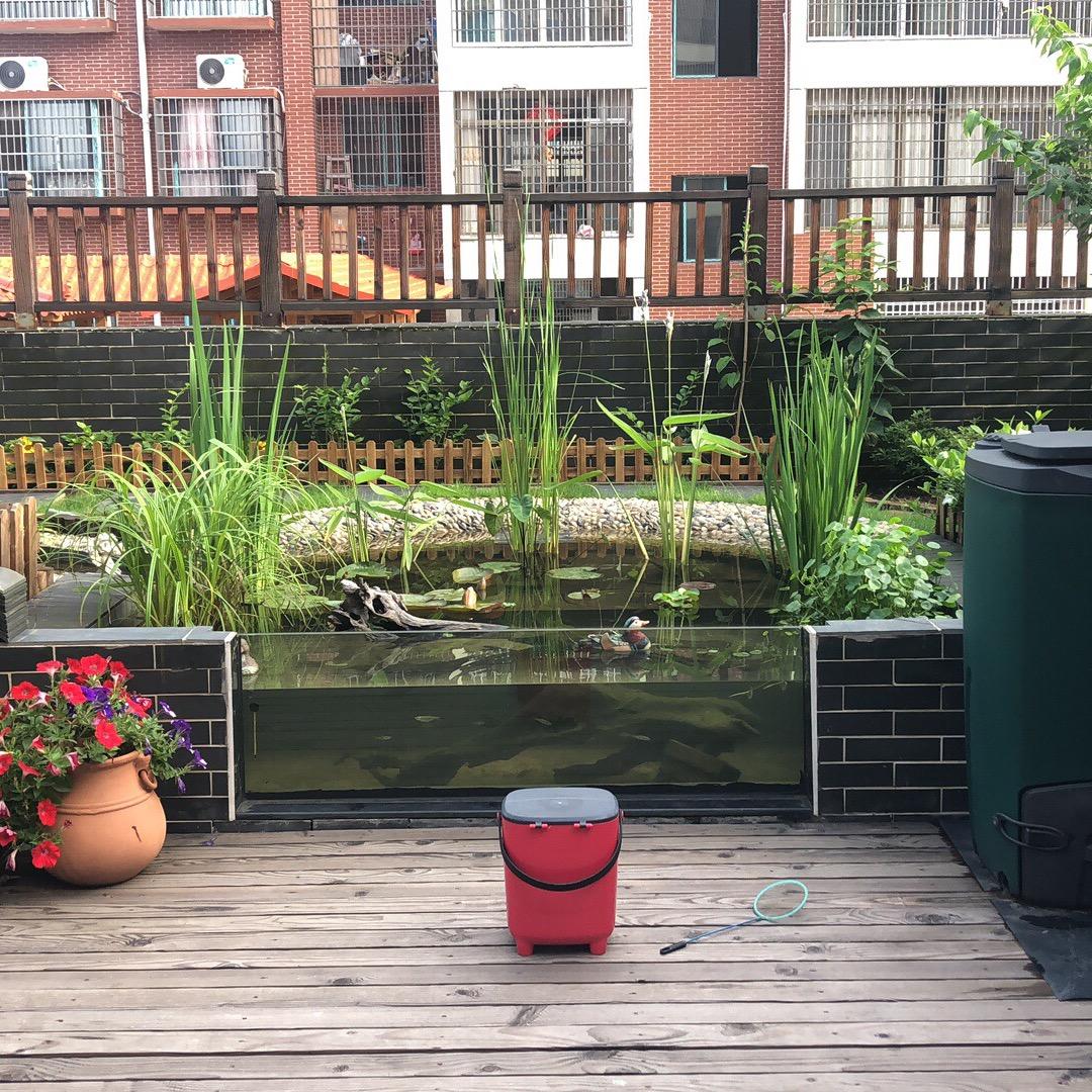 花园里的小精灵