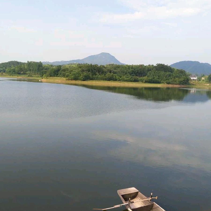 项城市家和电器