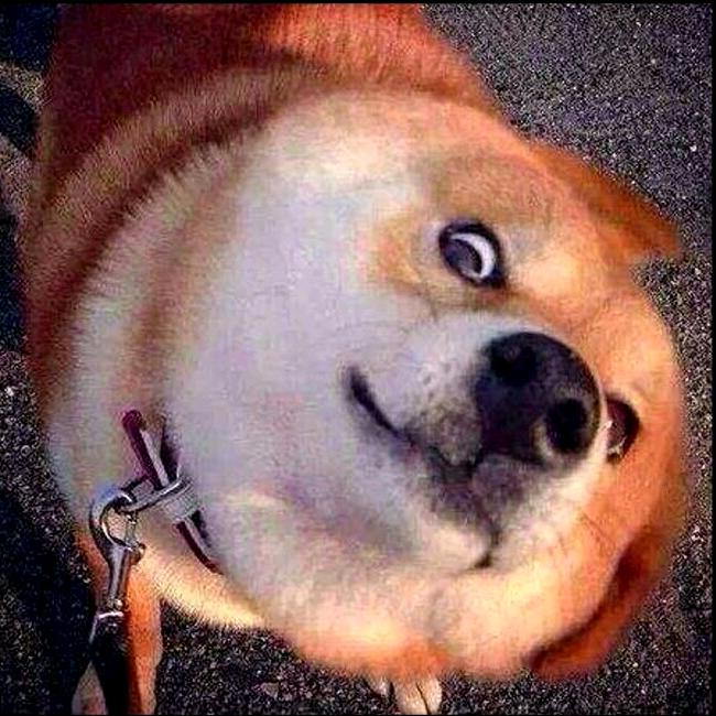 惊蛰