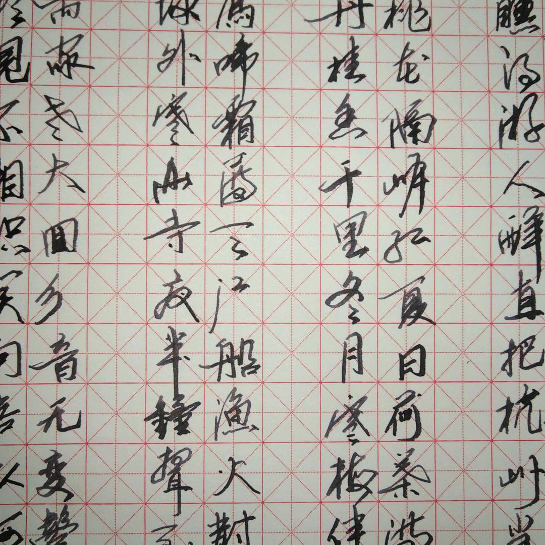 心存天下