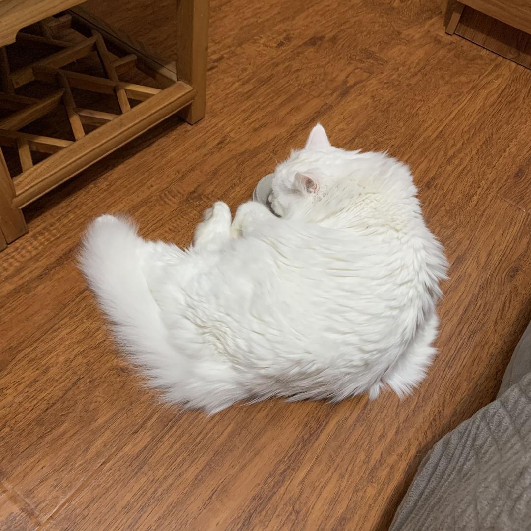 小钊叔叔