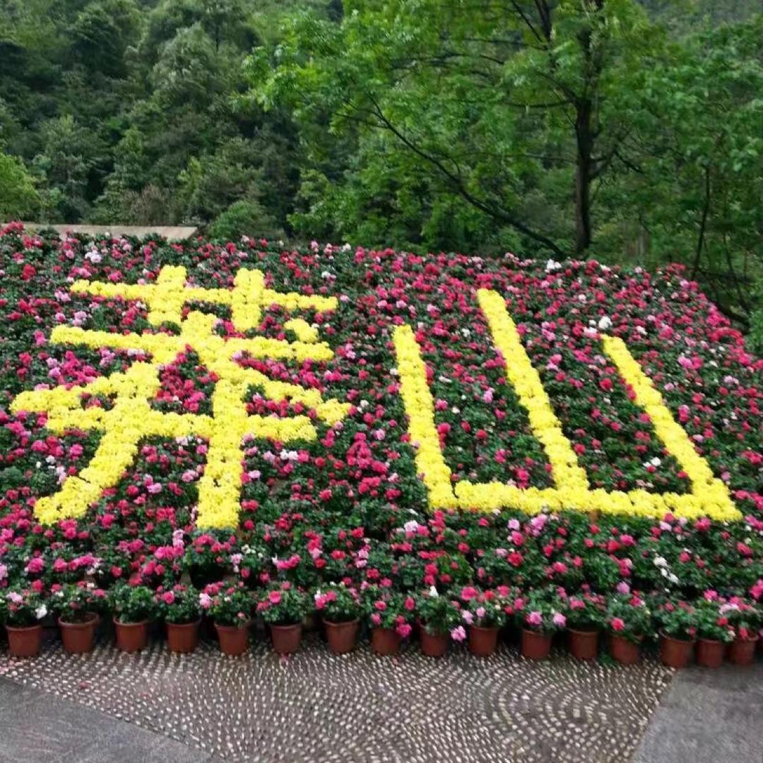 细品岁月静好