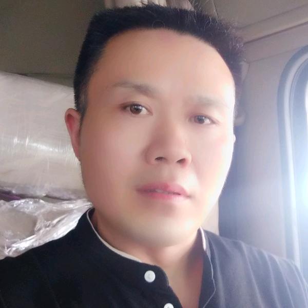 自由飞翔