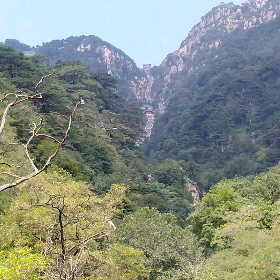 大怪