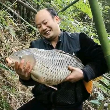 幺哥野钓，生态