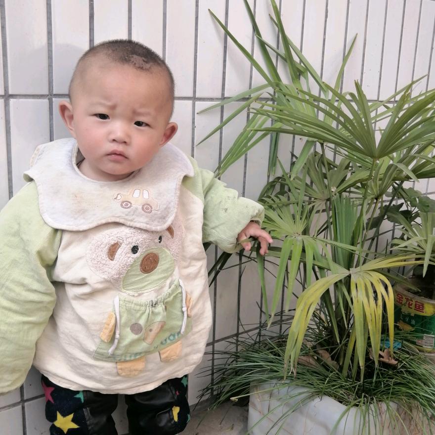 漂泊流浪，天涯海角。